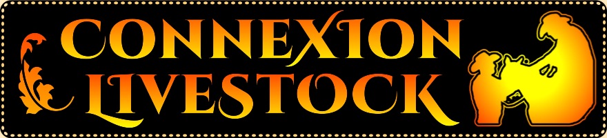Connexion Livestock Marketing